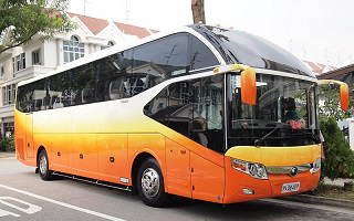 vip11